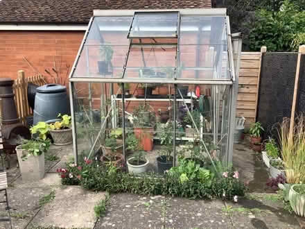 Photo of free Greenhouse (Hampsthwaite HG3) #1