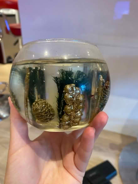 Photo of free Candle (Badger Farm) #1