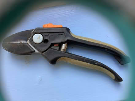 Photo of free Secateurs (Northcourt OX14) #1