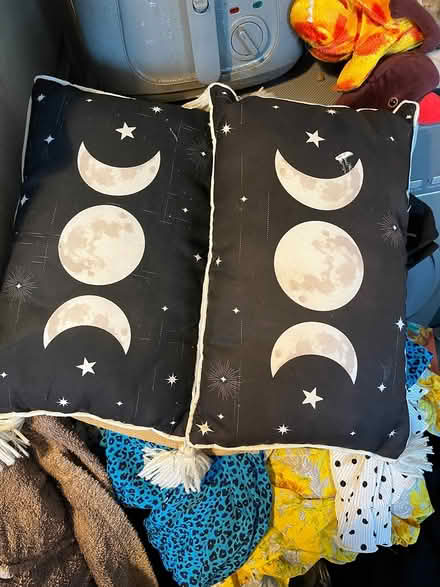 Photo of free Cushions (Ipswich IP2) #1