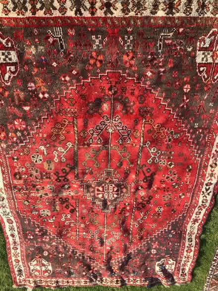 Photo of free Rug (Edington BA13) #1