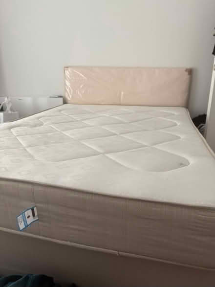Photo of free Bed frame (Feltham) #1
