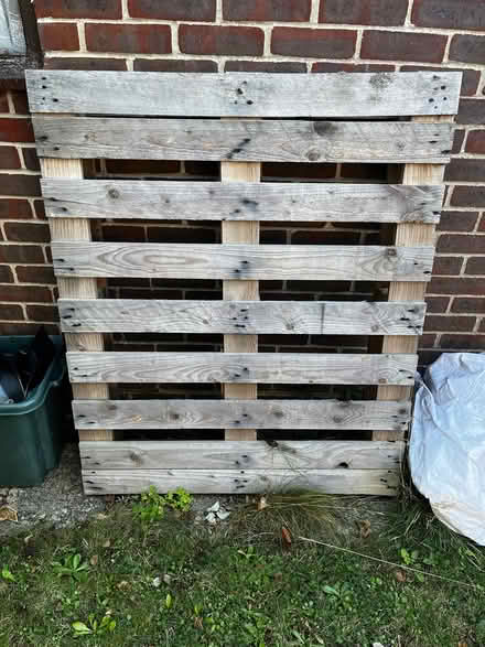 Photo of free One pallet (PO20) #1