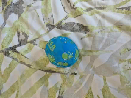 Photo of free Water ball (Maidstone ME15) #1