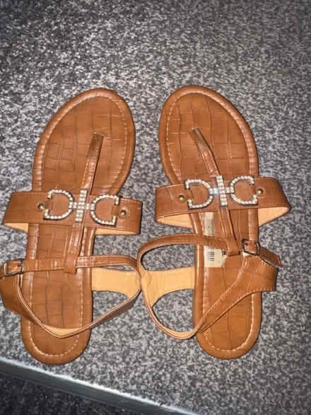 Photo of free Brown Sandals (NG8, Strelley) #2