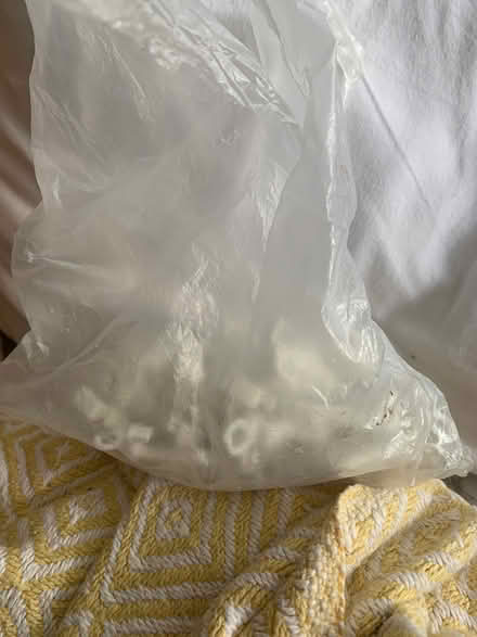 Photo of free Curtain hooks (Brockley SE4) #2