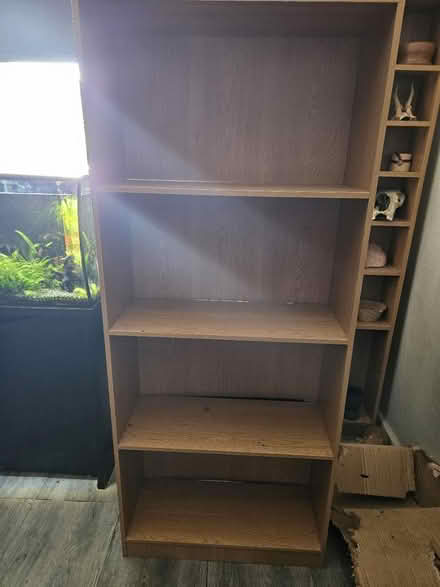 Photo of free Wood shelves (Whitfield DD4) #1