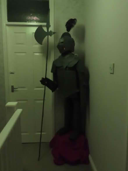 Photo of free Cardboard suit of armour (Probus) #1