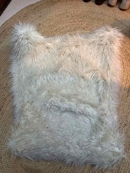 Photo of free Butterfly chair cover (N6) #1