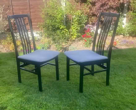 Photo of free Two dining room chairs (Lower Wortley LS12) #1
