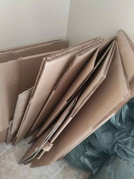 Photo of free Cardboard boxes and wrap (Audley Road SN14) #2