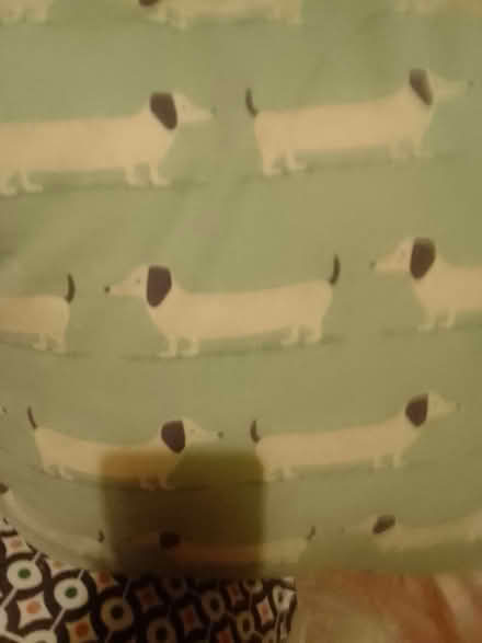 Photo of free two high street design cushions (Askew Road W12) #2