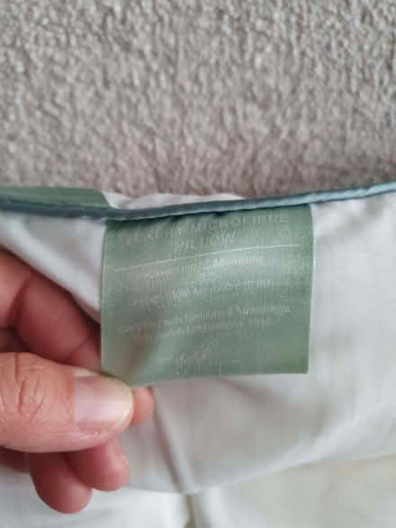 Photo of free Toddler pillow (Burgess Park SE5) #2