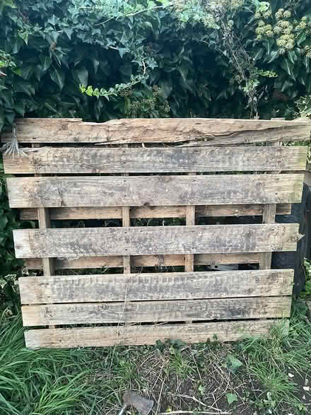 Photo of free Pallet wooden (High Wycombe HP13) #1