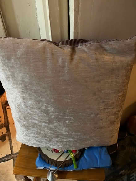 Photo of free Cushion (Camberwell SE5) #2