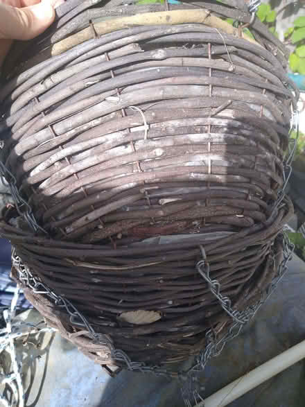 Photo of free Hanging Baskets (DA12) #1