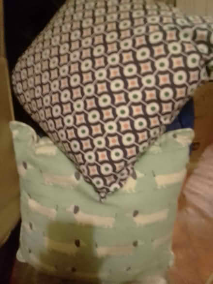 Photo of free two high street design cushions (Askew Road W12) #1