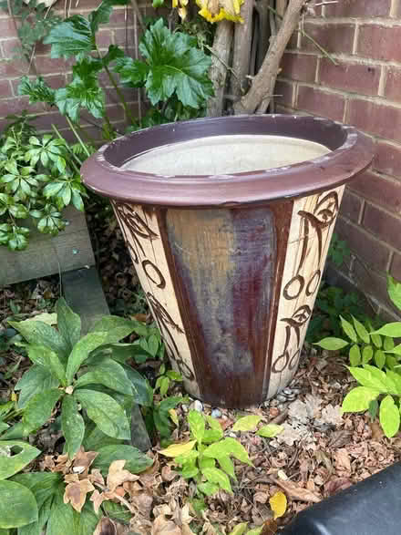 Photo of free Plant pot (woking) #1
