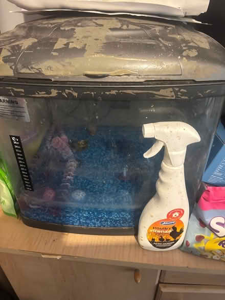 Photo of free Fish tank and blue stones (SG6) #1