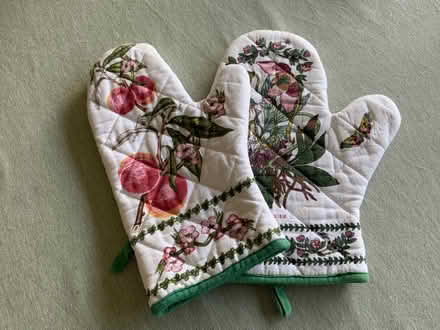 Photo of free 0ven mitts. Portmeirion design (Cheadle Hulme SK7) #1
