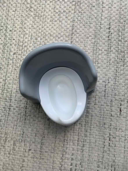 Photo of free Baby born potty (Near Thornhill square N1) #3