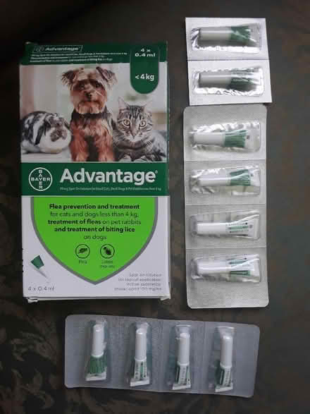 Photo of free Advantage Cat Flea Treatment (CT15) #1