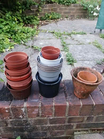 Photo of free Plant pots (Heathfield TN21) #1