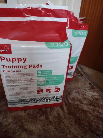 Photo of free Puppy training pads (Hollingwood S43) #1