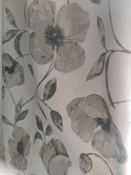 Photo of free Curtains and pole (Audley Road SN14) #1