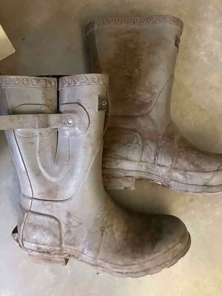 Photo of free Wellies EU37 UK4 (Stourbridge DY8) #1