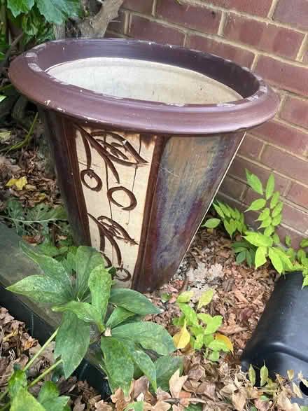 Photo of free Plant pot (woking) #3