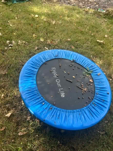 Photo of free Iittle trampoline (Horley RH6) #1