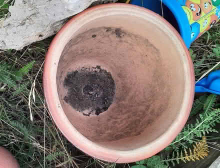 Photo of free Three garden pots (Woodley RG6) #2