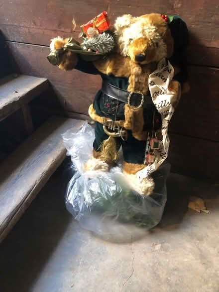Photo of free Christmas Bear (East Watertown) #1