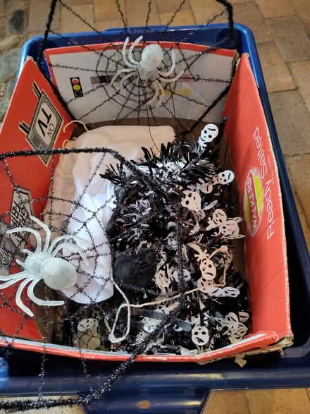 Photo of free Halloween decorations (Pant SY10) #1