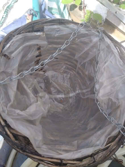 Photo of free Hanging Baskets (DA12) #2