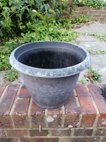 Photo of free Plastic plant pot (Heathfield TN21) #1