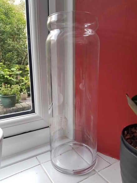 Photo of free Orchid jar (Sheffield 2) #1