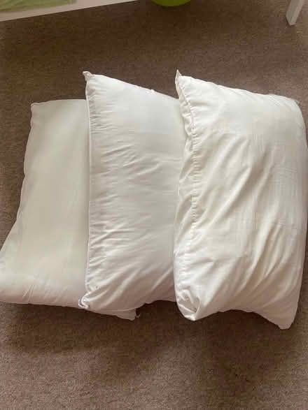 Photo of free Pillows (BA1) #1