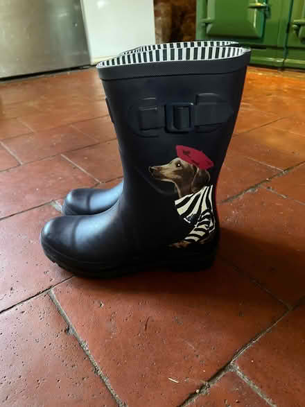 Photo of free Wellington boots size 6 (39) (Sheffield Park TN22) #1