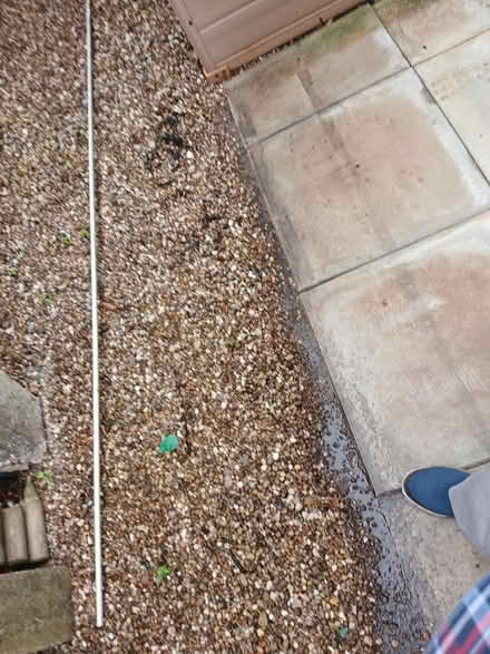 Photo of free Pole (Shifnal TF11) #1