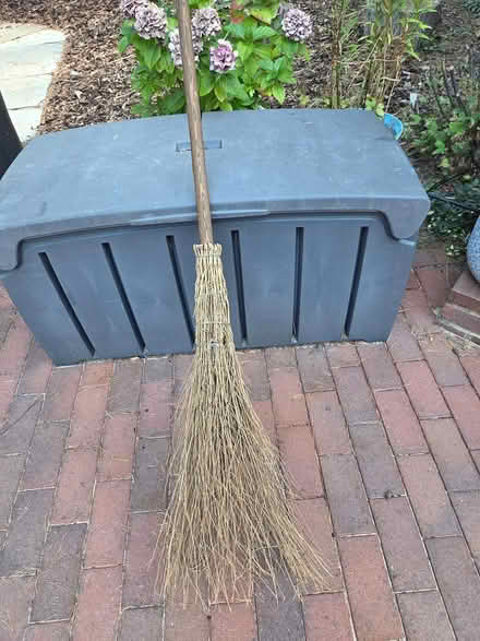 Photo of free Witch's Broom (Heatherside GU15) #1