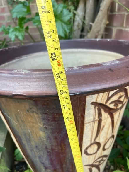 Photo of free Plant pot (woking) #2