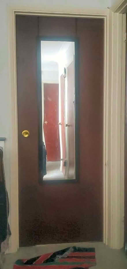 Photo of free Over-door mirror, glass is 118 x 26.5 com (Earley RG6) #1