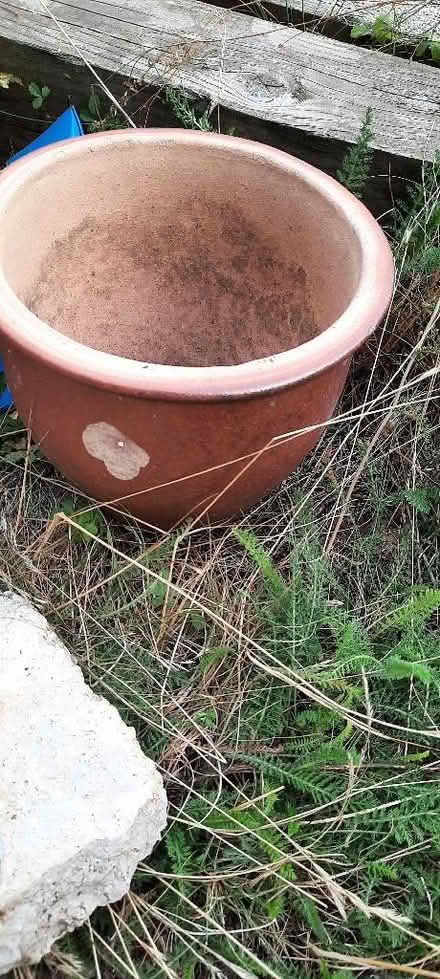 Photo of free Three garden pots (Woodley RG6) #1