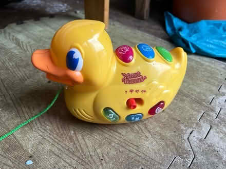 Photo of free Toddler ‘Stroll buddy’ duck (Kelvedon CO5) #1