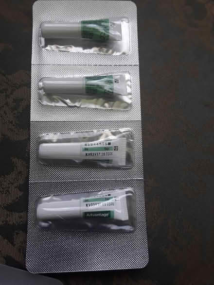 Photo of free Advantage Cat Flea Treatment (CT15) #4