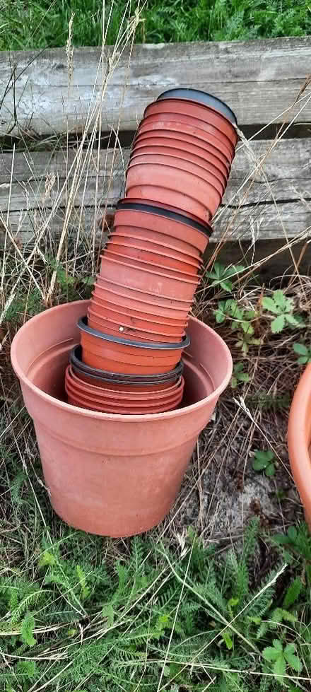 Photo of free Plant pots (Woodley RG6) #1