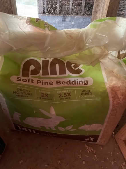 Photo of free Soft pine bedding (Siler) #1