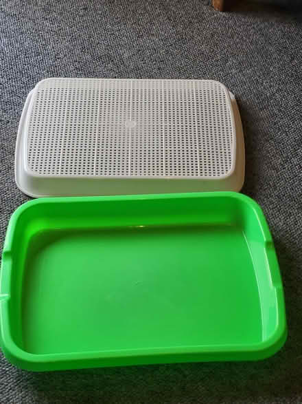 Photo of free Cress tray (Arundel) #2